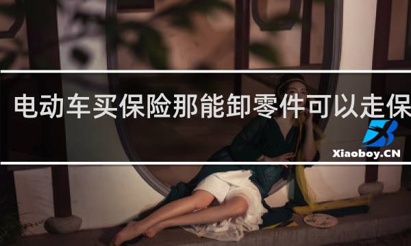电动车买保险那能卸零件可以走保险吗