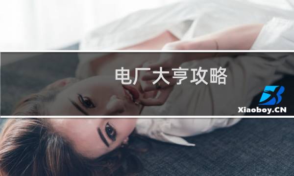 电厂大亨攻略
