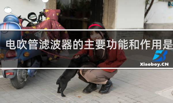 电吹管滤波器的主要功能和作用是什么