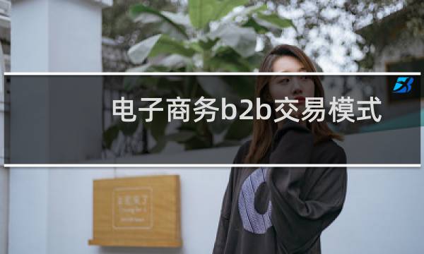 电子商务b2b交易模式