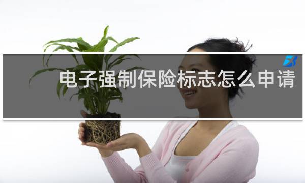 电子强制保险标志怎么申请