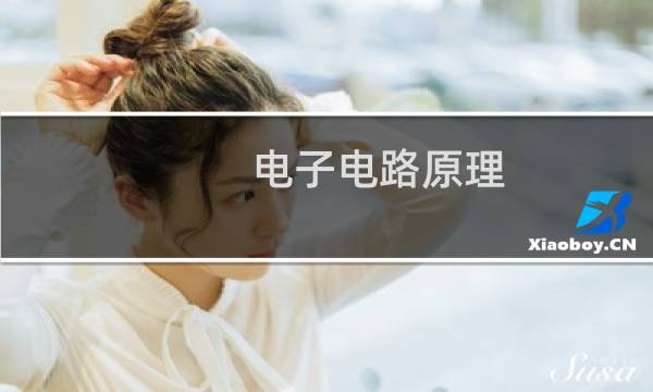 电子电路原理 pdf
