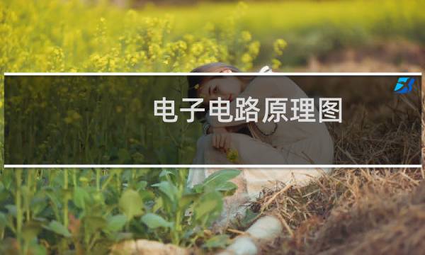 电子电路原理图