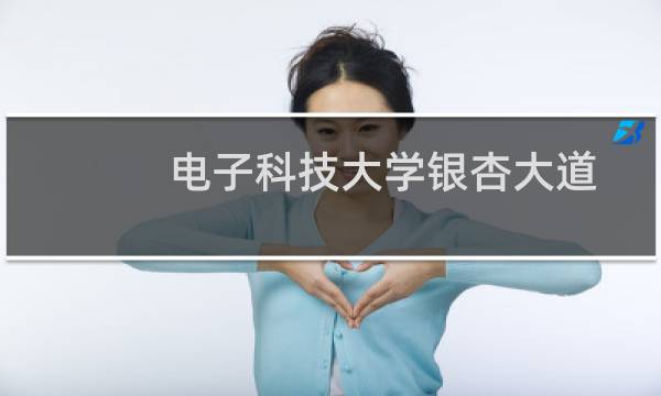 电子科技大学银杏大道