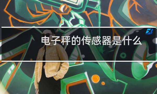 电子秤的传感器是什么