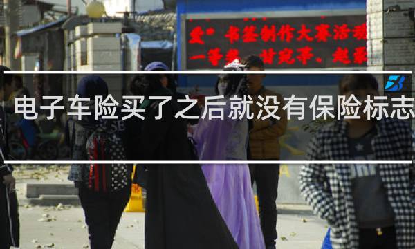 电子车险买了之后就没有保险标志了吗
