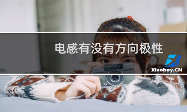 电感有没有方向极性