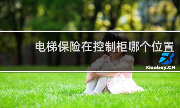 电梯保险在控制柜哪个位置
