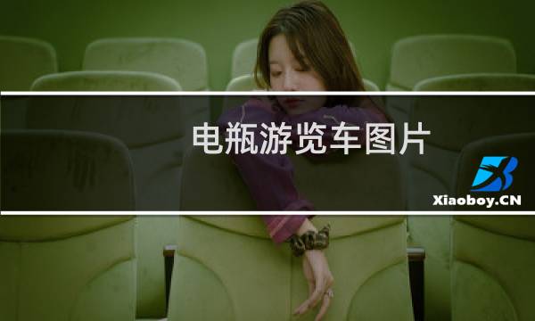 电瓶游览车图片