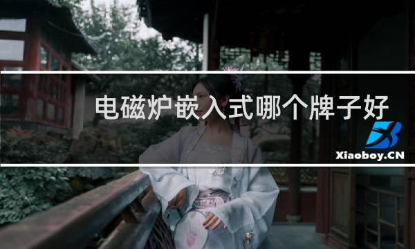 电磁炉嵌入式哪个牌子好