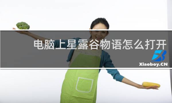 电脑上星露谷物语怎么打开