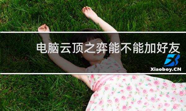 电脑云顶之弈能不能加好友