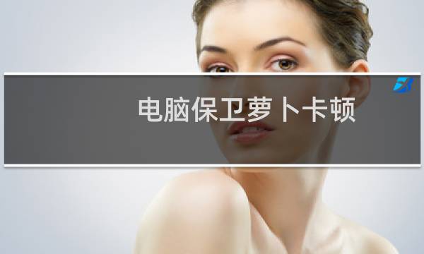 电脑保卫萝卜卡顿