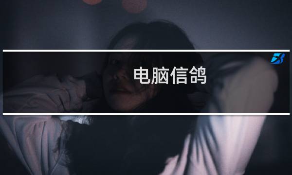电脑信鸽