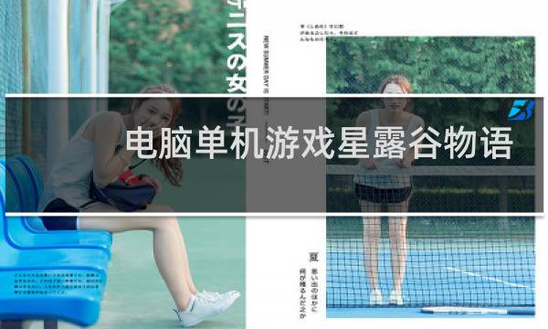 电脑单机游戏星露谷物语