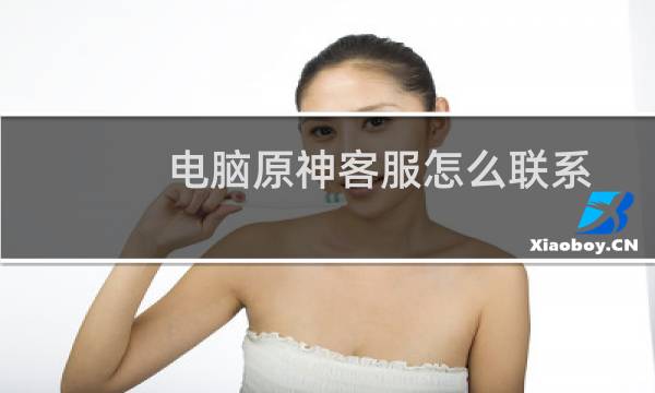 电脑原神客服怎么联系