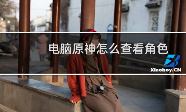 电脑原神怎么查看角色