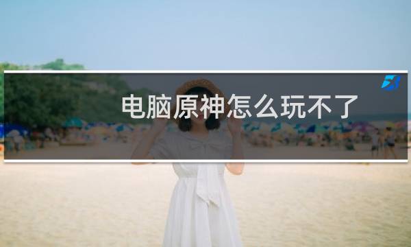 电脑原神怎么玩不了