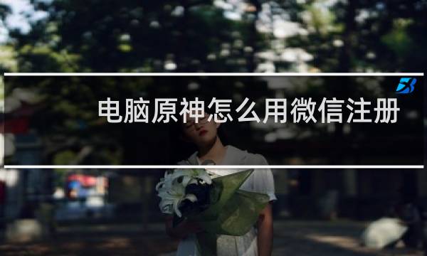 电脑原神怎么用微信注册