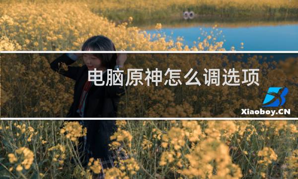 电脑原神怎么调选项