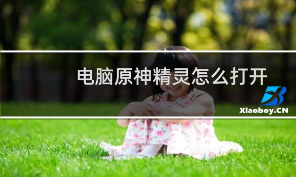 电脑原神精灵怎么打开