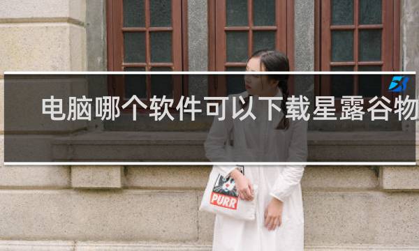 电脑哪个软件可以下载星露谷物语