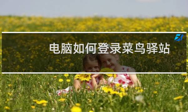 电脑如何登录菜鸟驿站