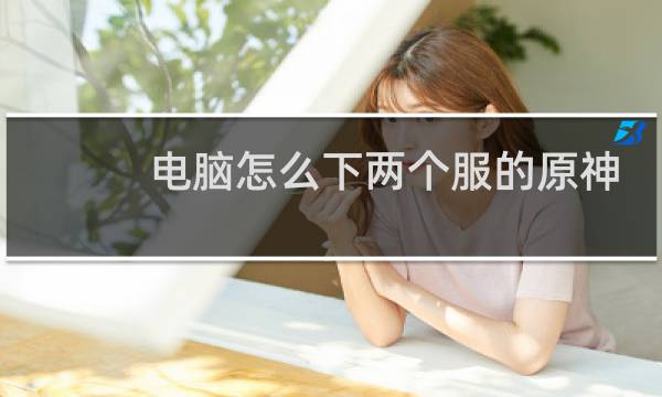 电脑怎么下两个服的原神