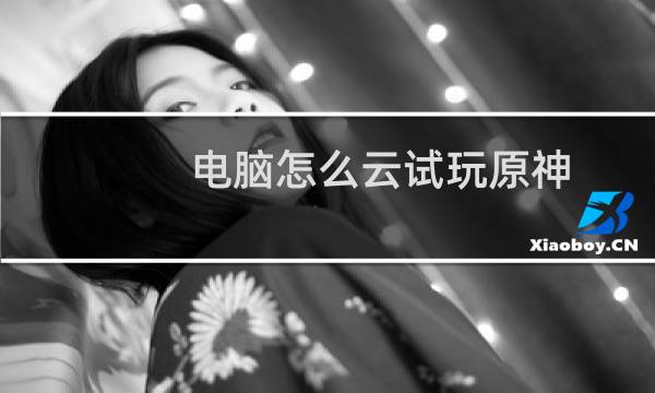 电脑怎么云试玩原神