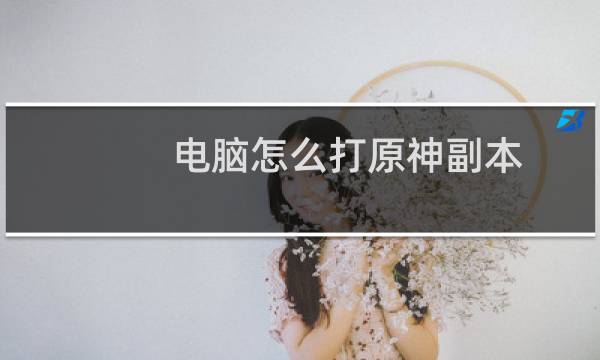 电脑怎么打原神副本