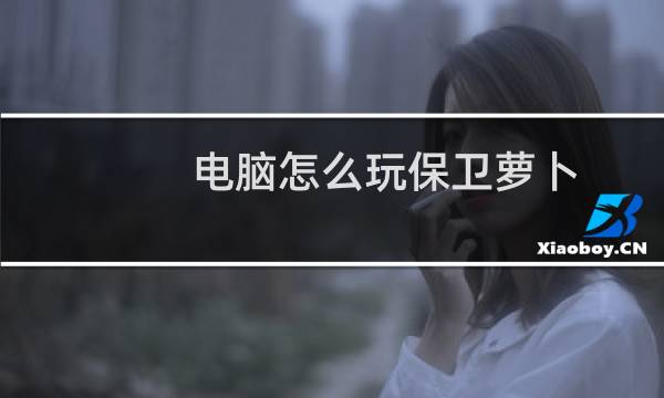 电脑怎么玩保卫萝卜