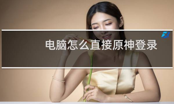 电脑怎么直接原神登录