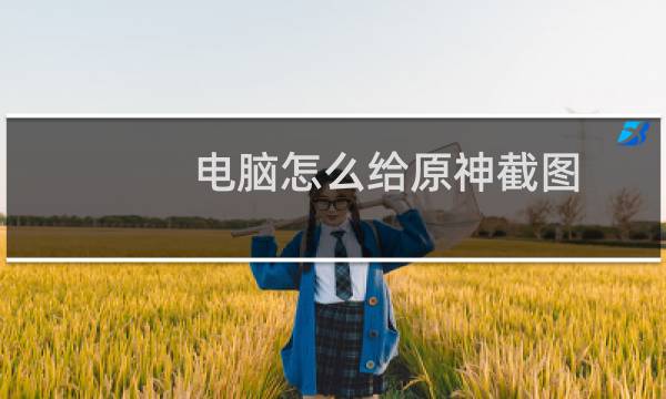 电脑怎么给原神截图