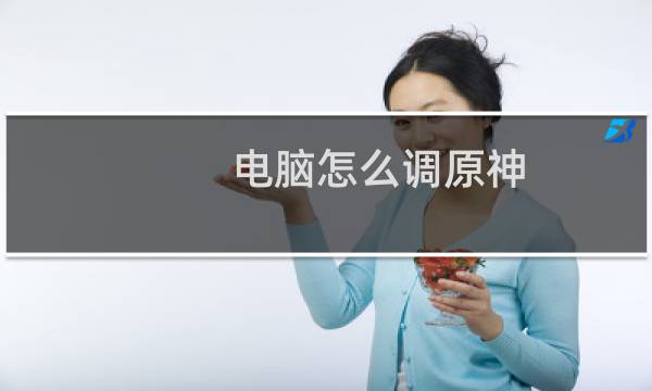 电脑怎么调原神