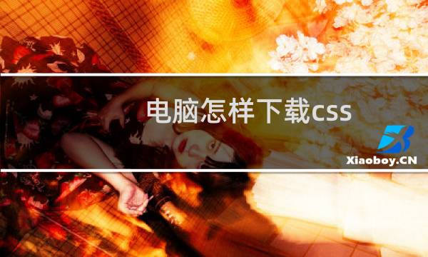 电脑怎样下载css
