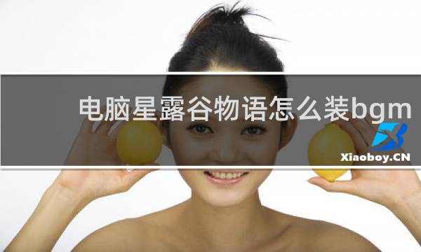 电脑星露谷物语怎么装bgm