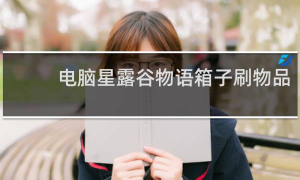 电脑星露谷物语箱子刷物品