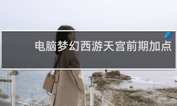 电脑梦幻西游天宫前期加点