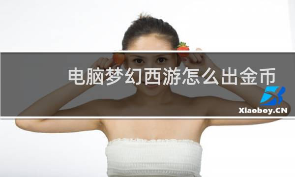 电脑梦幻西游怎么出金币