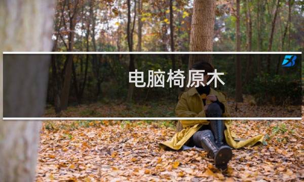 电脑椅原木
