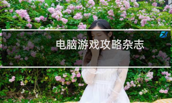 电脑游戏攻略杂志