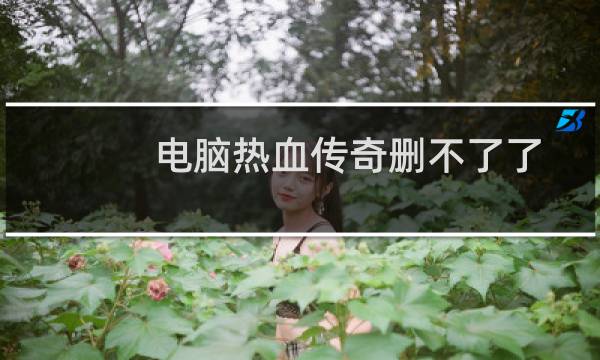 电脑热血传奇删不了了