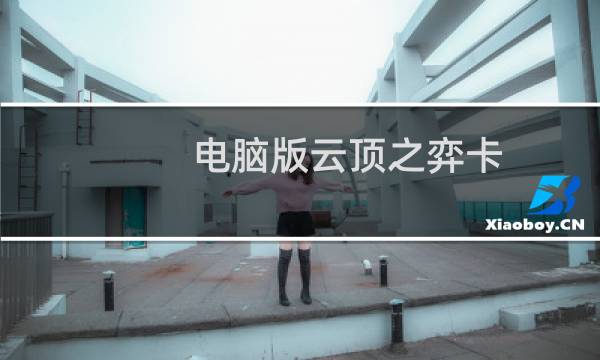 电脑版云顶之弈卡