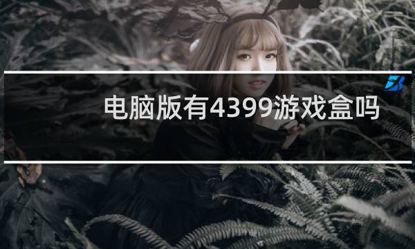 电脑版有4399游戏盒吗