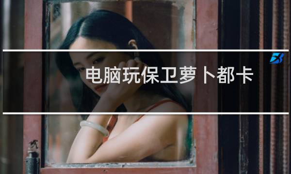 电脑玩保卫萝卜都卡