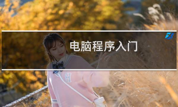 电脑程序入门