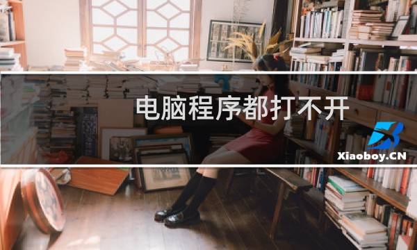 电脑程序都打不开