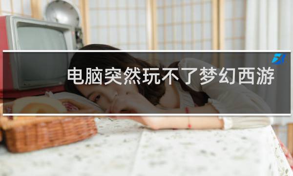 电脑突然玩不了梦幻西游
