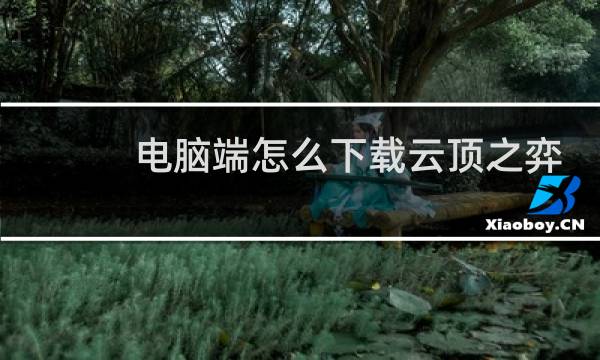 电脑端怎么下载云顶之弈