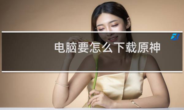电脑要怎么下载原神